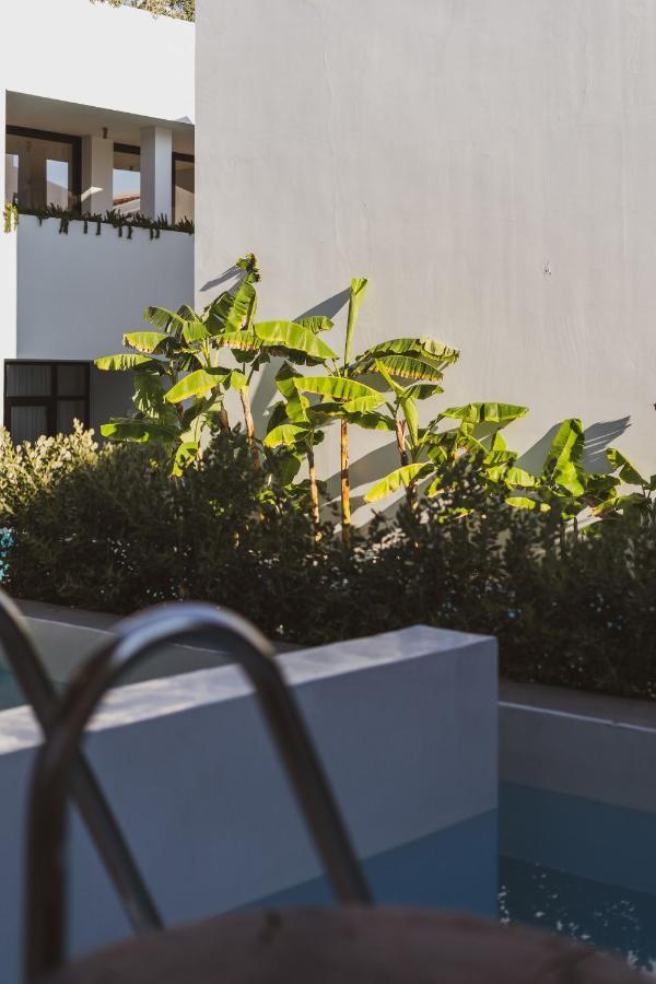 Cavo Vezal (Adults Only) Hotell Laganas Exteriör bild